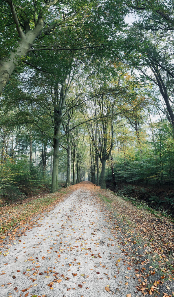 Veenhuizen - Norg · Drenthepad etappe 6