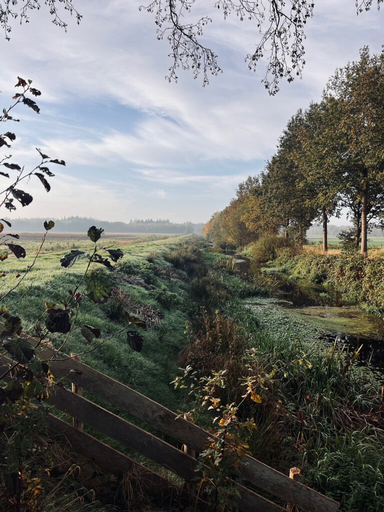 Veenhuizen - Norg · Drenthepad etappe 6