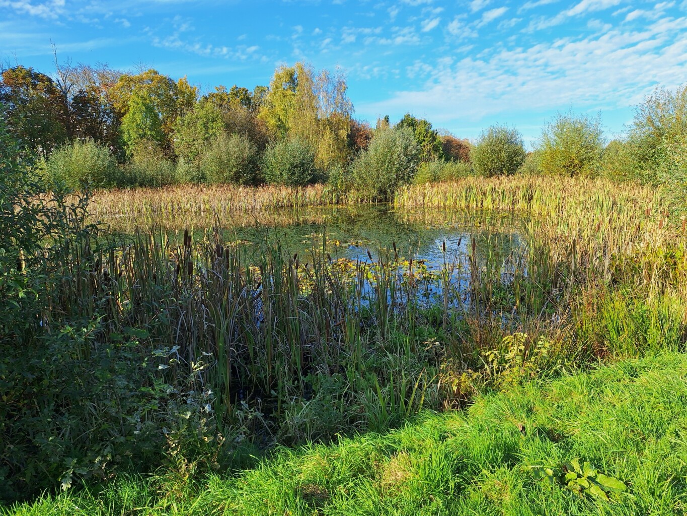 Hoogtewandeling Valkenburg aan de Geul