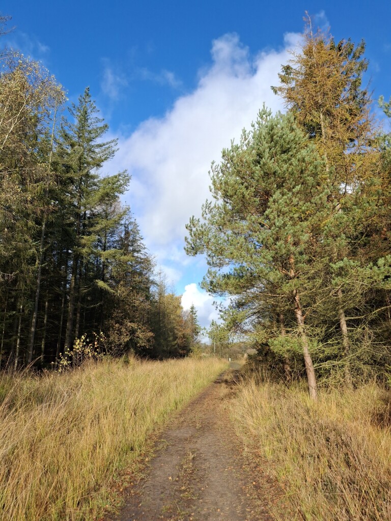 Dwalen op het Dwingelderveld