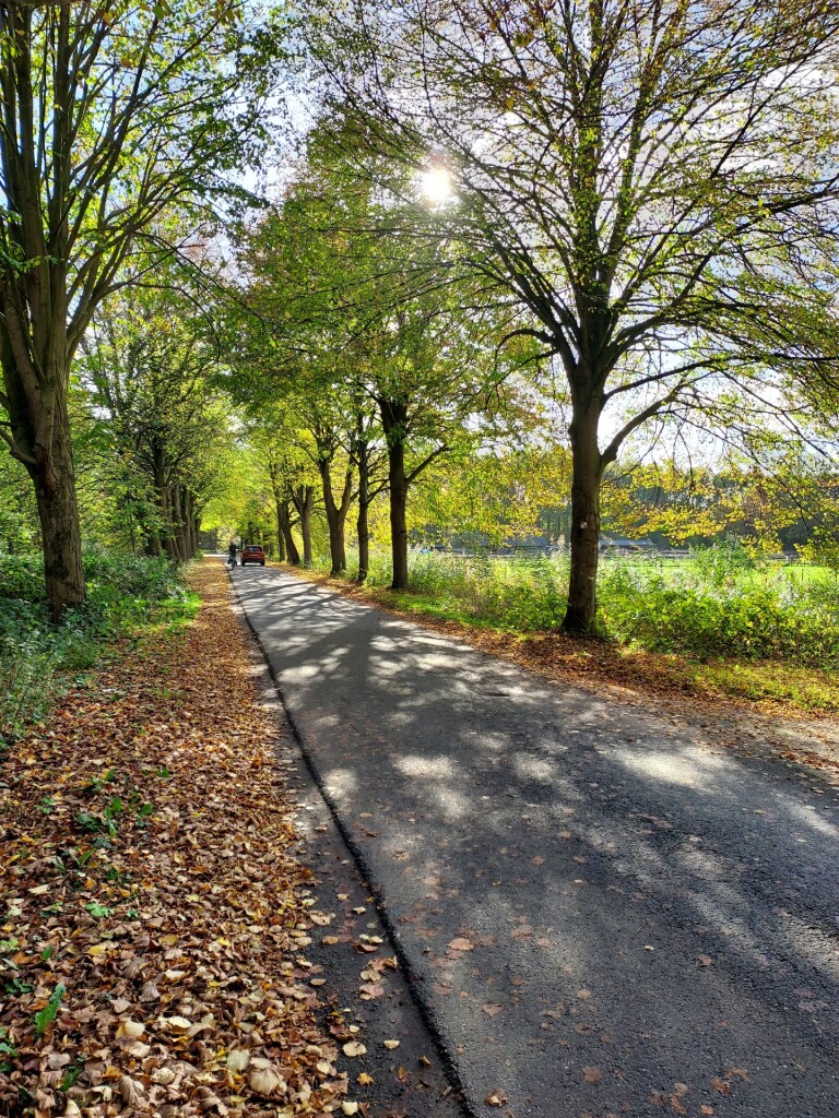 Klokbekerweg, Lely - Hollandse Hout · Pionierspad etappe 6