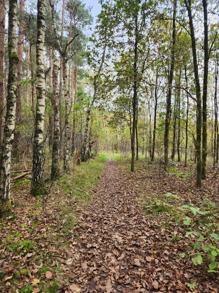 Grote Hof - Hobos - Rood