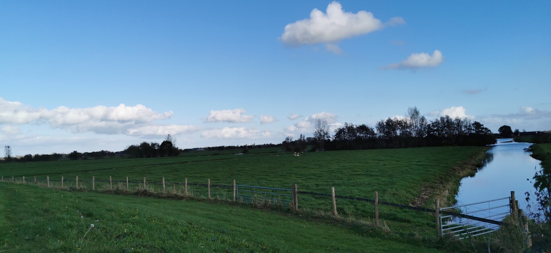 Kamerik Teylingenpad