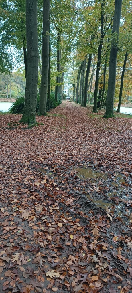 Rondje Het Laar Wolfskuil Ommen