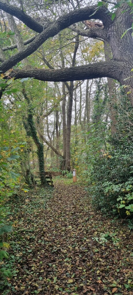 Wandelroute De Acht van Amen