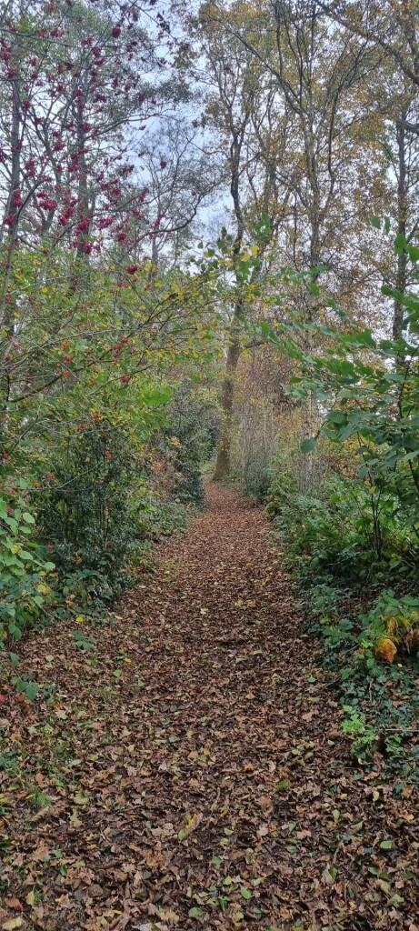 Wandelroute De Acht van Amen