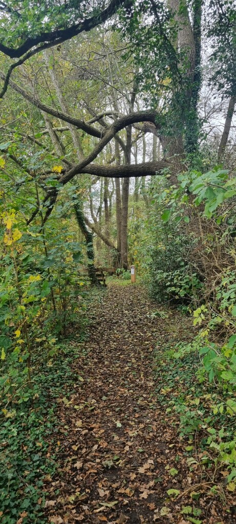 Wandelroute De Acht van Amen