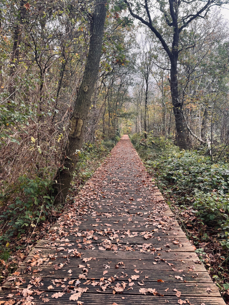 Norg - Roden · Drenthepad etappe 7