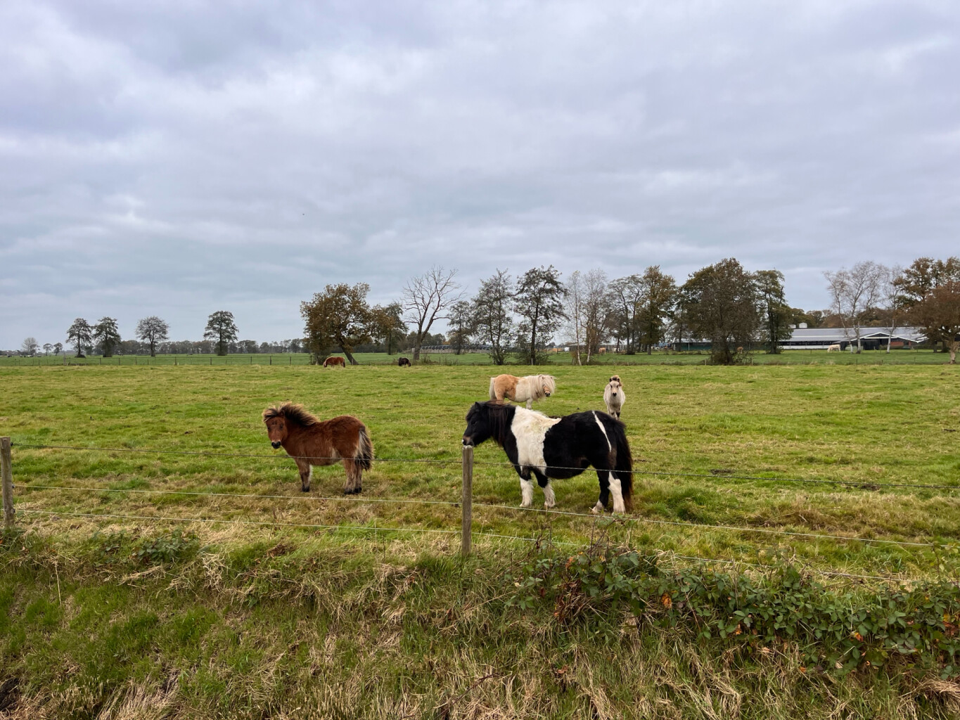 Norg - Roden · Drenthepad etappe 7