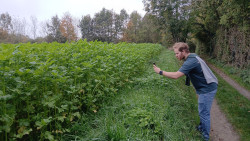 Kelmonderbosroute KE01 Beek