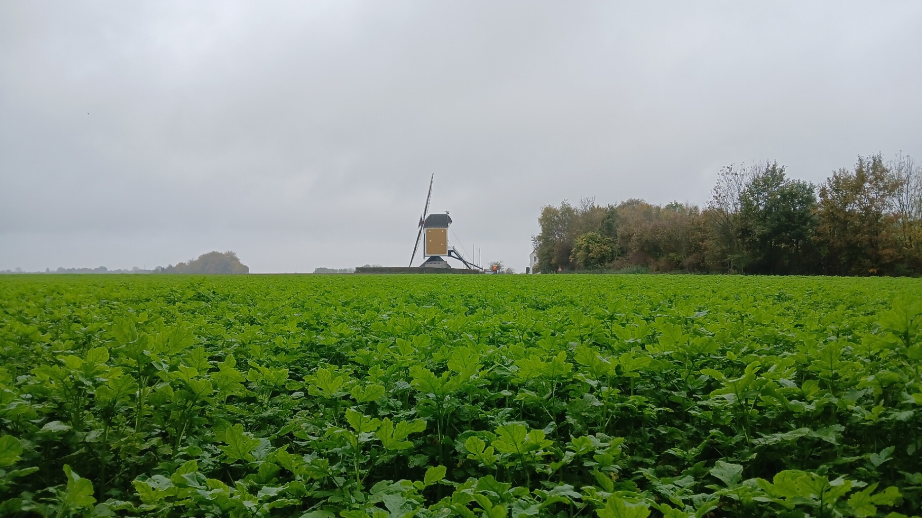 Kelmonderbosroute KE01 Beek