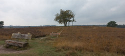Kootwijk - Garderen · Veluwe Zwerfpad etappe 6
