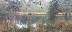 Garderen - Putten · Veluwe Zwerfpad etappe 7