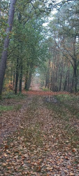 Garderen - Putten · Veluwe Zwerfpad etappe 7