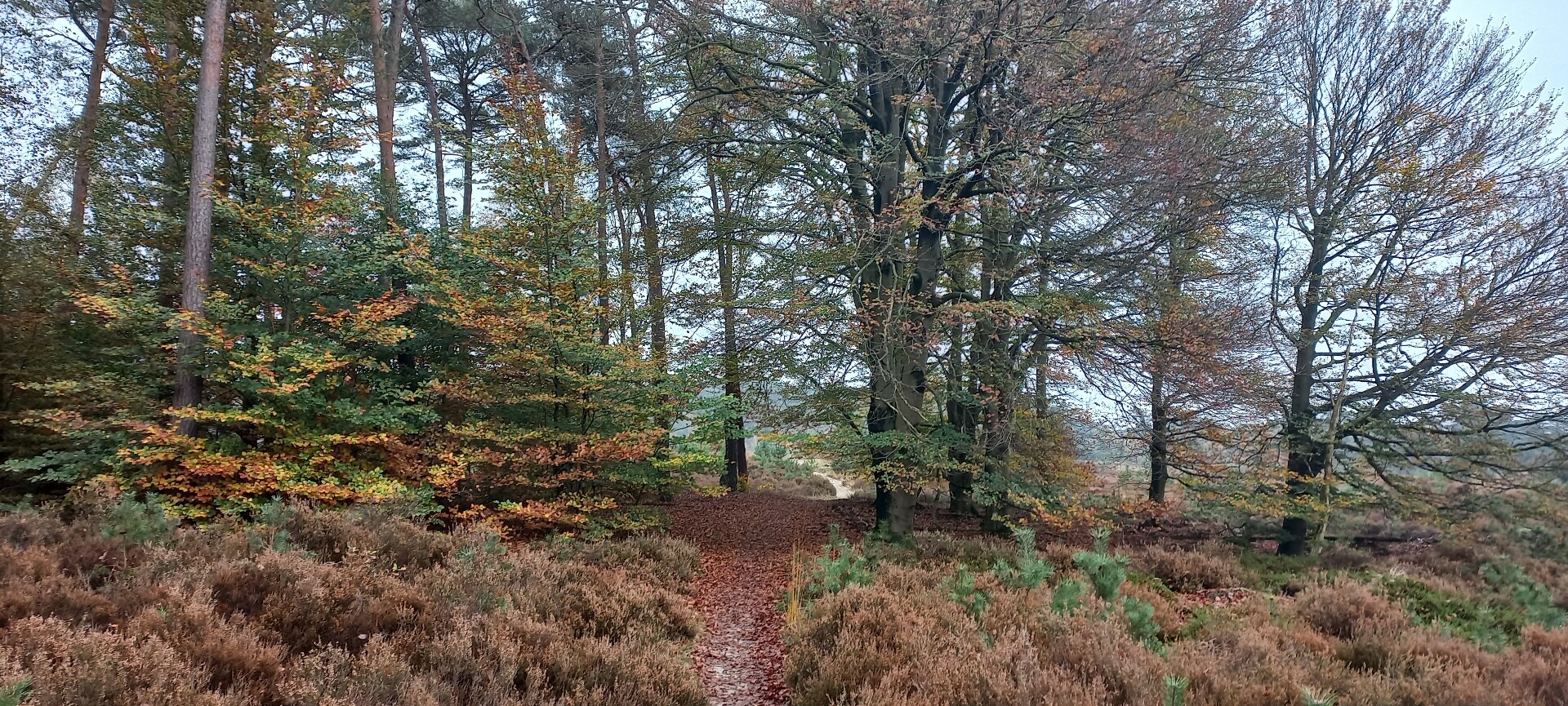 Harderwijk - Nunspeet · Zuiderzeepad etappe 13