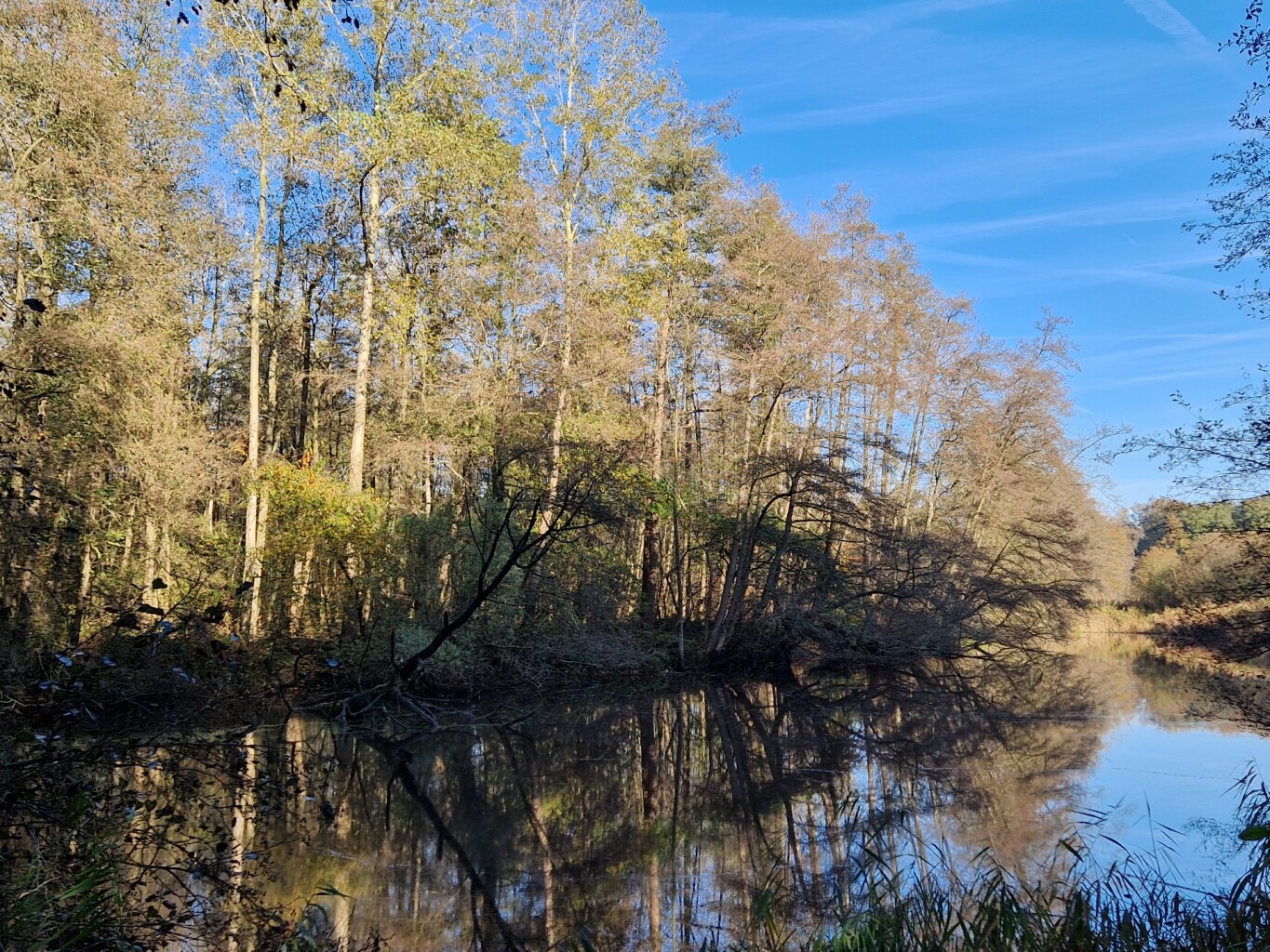 Dagwandeling (Olst) · Hanzestedenpad etappe 13