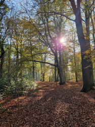 Dagwandeling (Olst) · Hanzestedenpad etappe 13