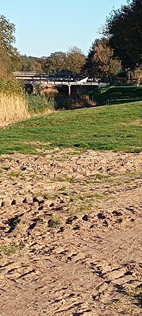 Nieuwebrug - Groen