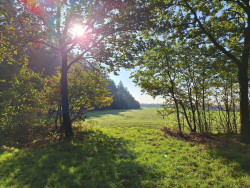Galgenbergroute