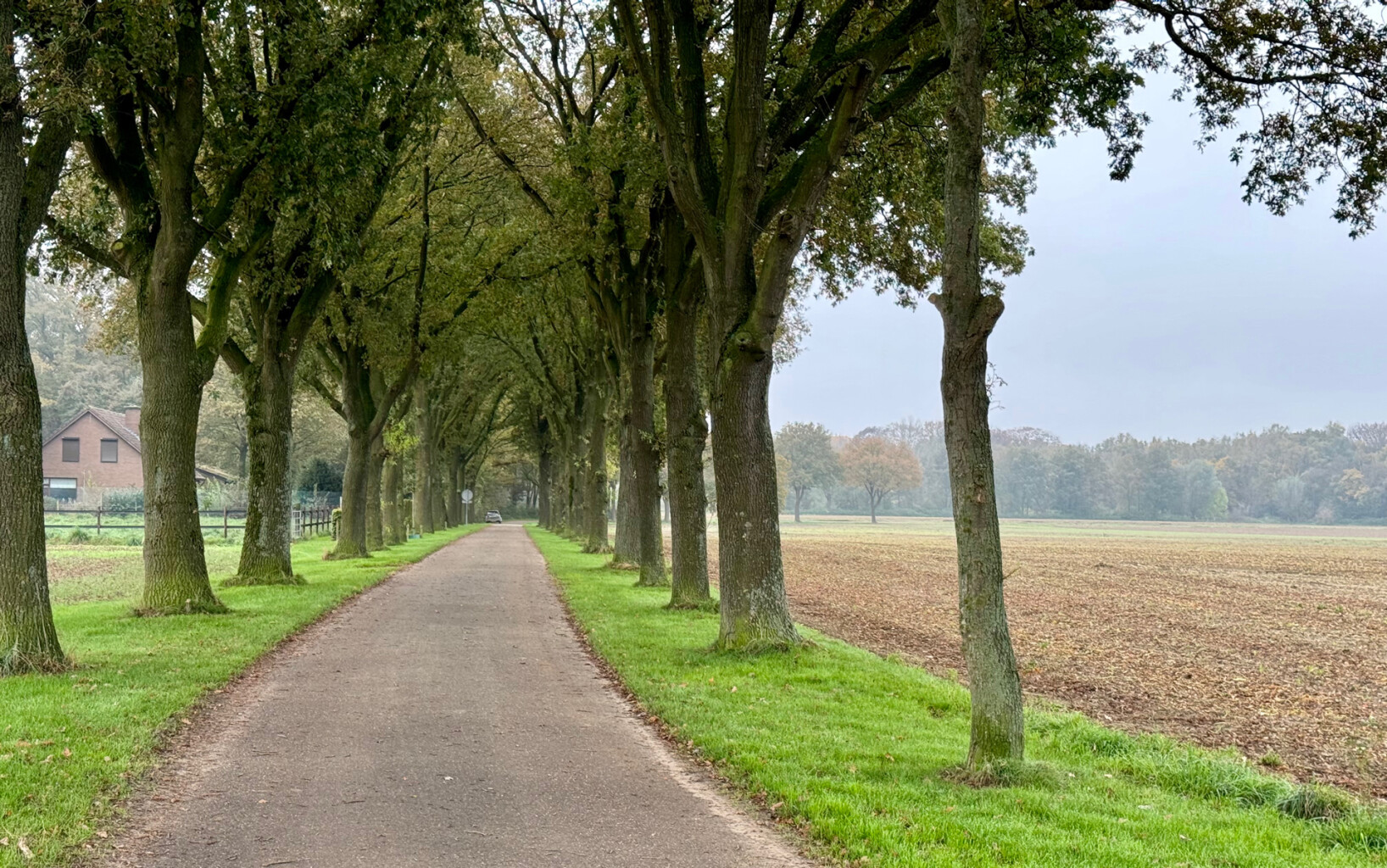 Roosteren - Sittard station · Pelgrimspad etappe 21