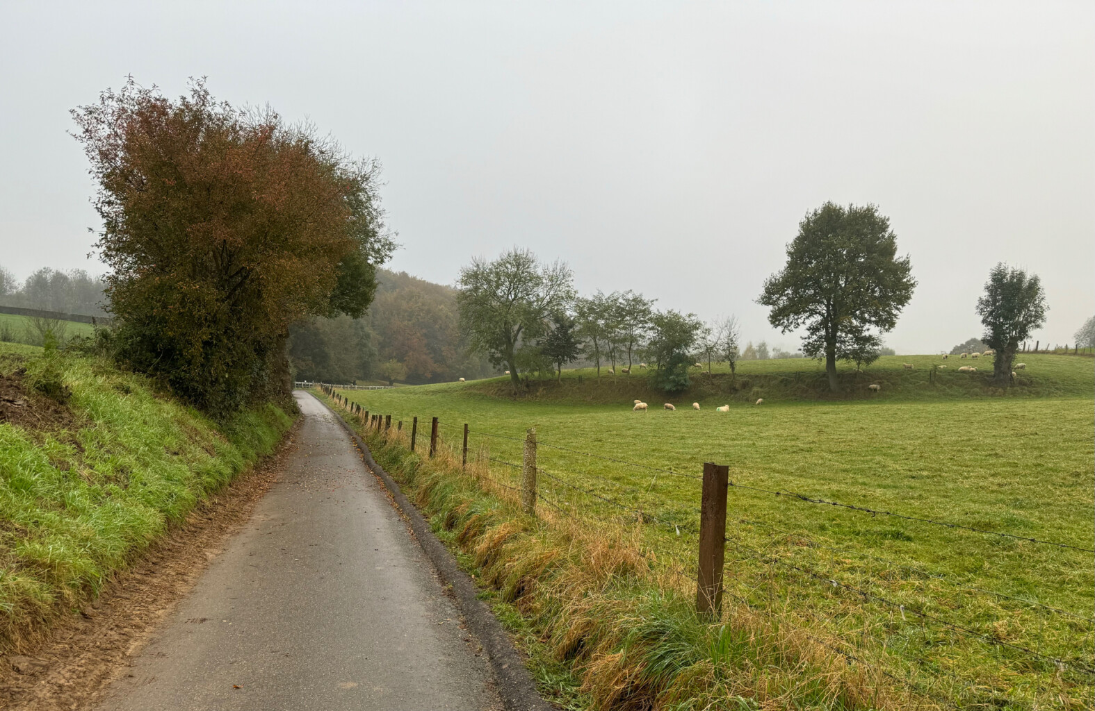 Sittard station - Nuth · Pelgrimspad etappe 22