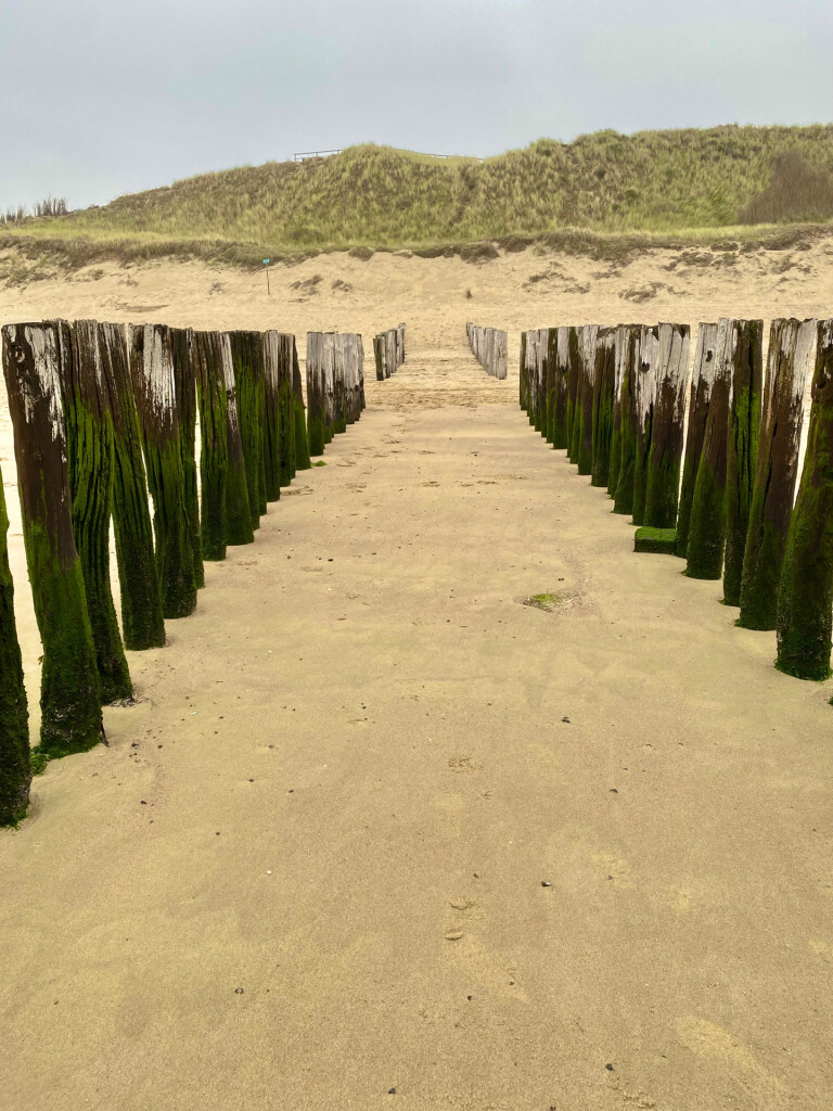 Zoutelande - Halte Kasteel Westhove · Nederlands Kustpad 1 etappe 3