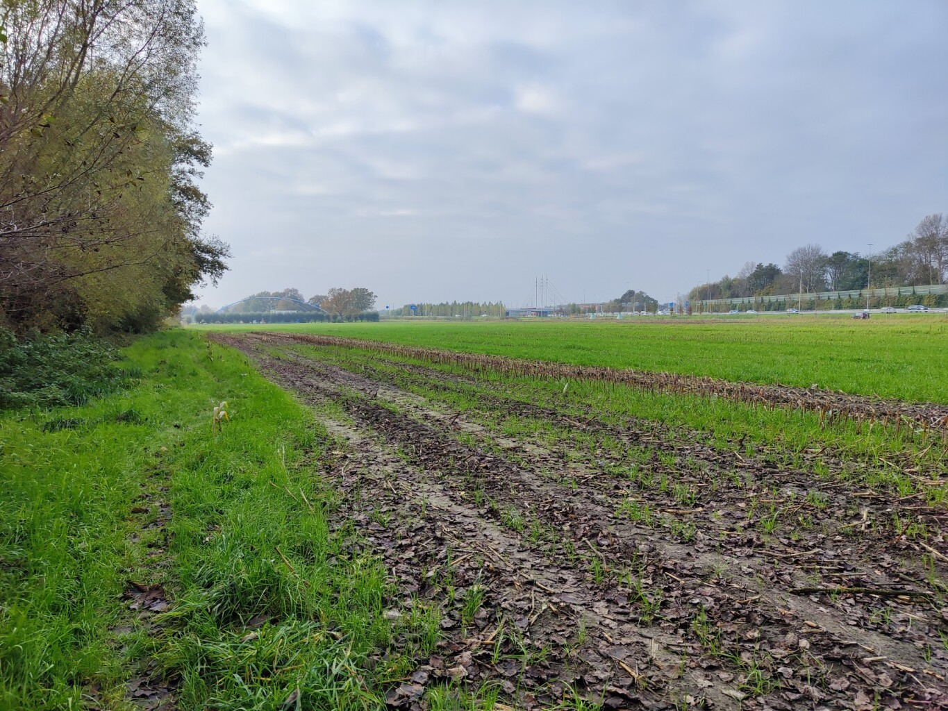 Breukerengpad Bennekom