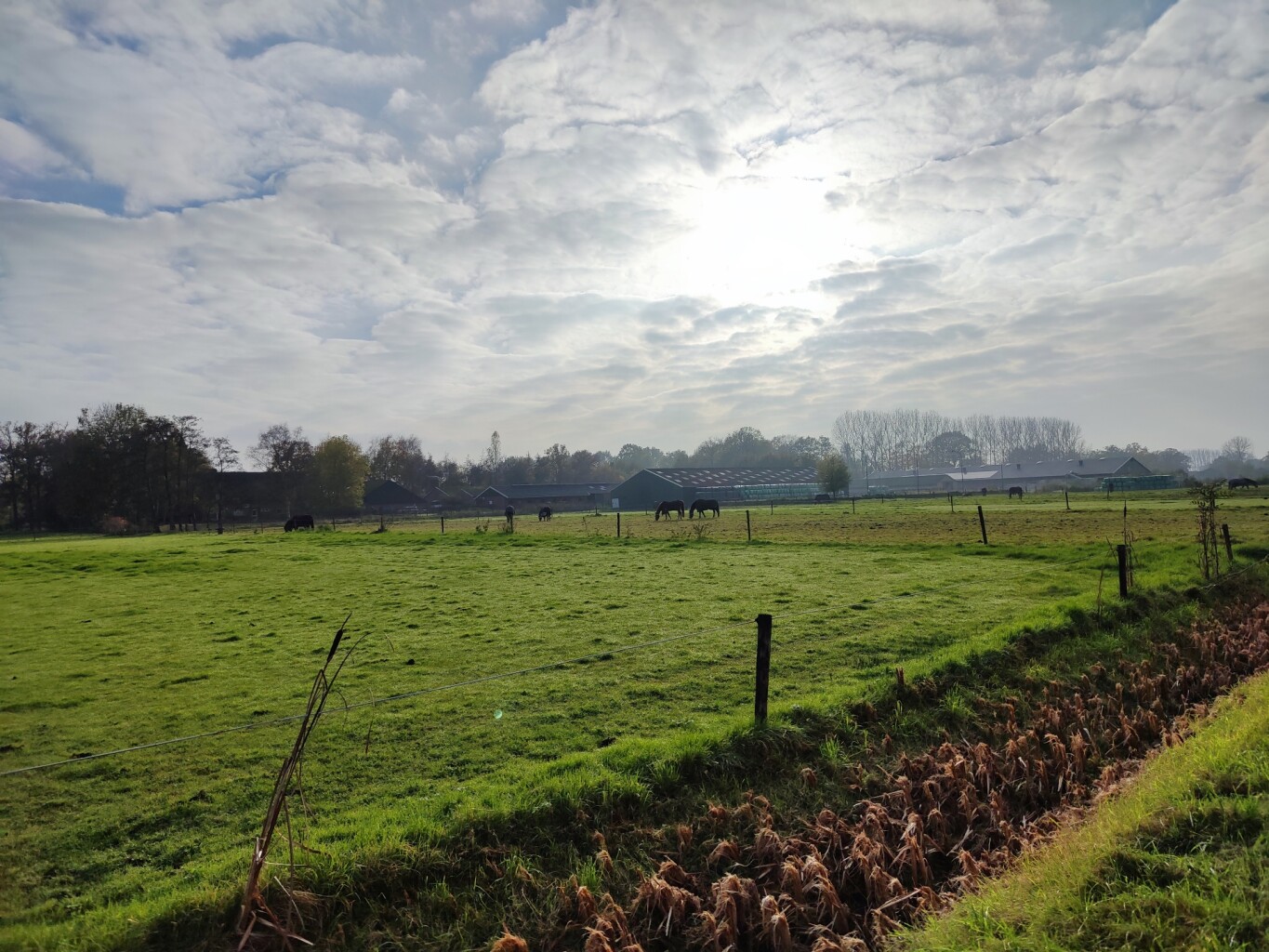 Breukerengpad Bennekom