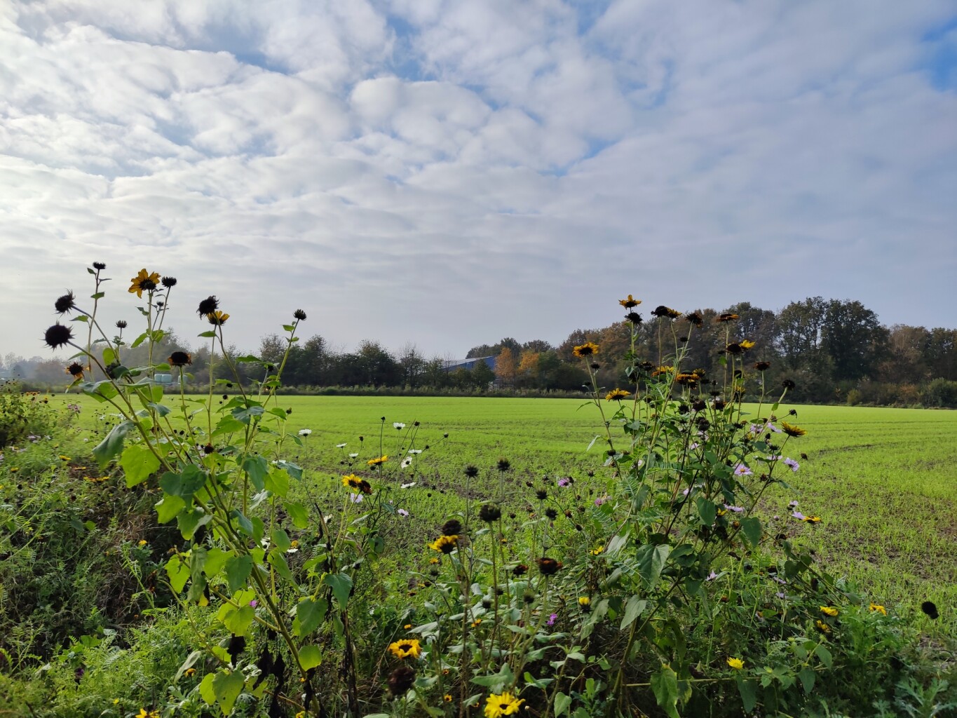 Breukerengpad Bennekom