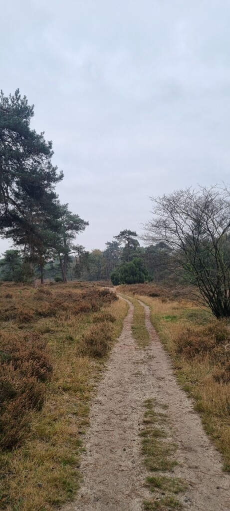 Wandelroute Odoornerdennen