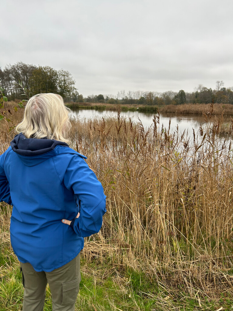 Airbornepad Market Garden - 02 · Airbornepad etappe 2