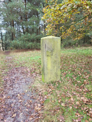 Mosbeek - Geel