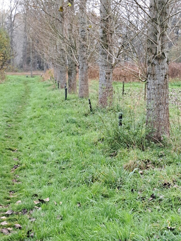 Son en Breugel - Eindhoven · Camino Brabant etappe 4