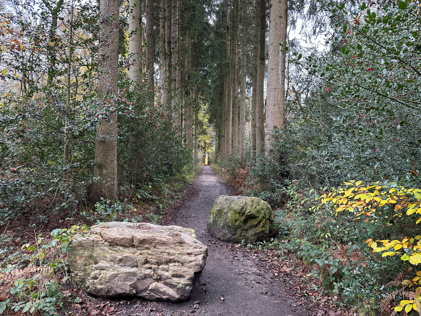 Wandelen over de Vijlenerberg