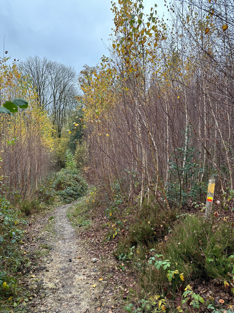 Wandelen over de Vijlenerberg