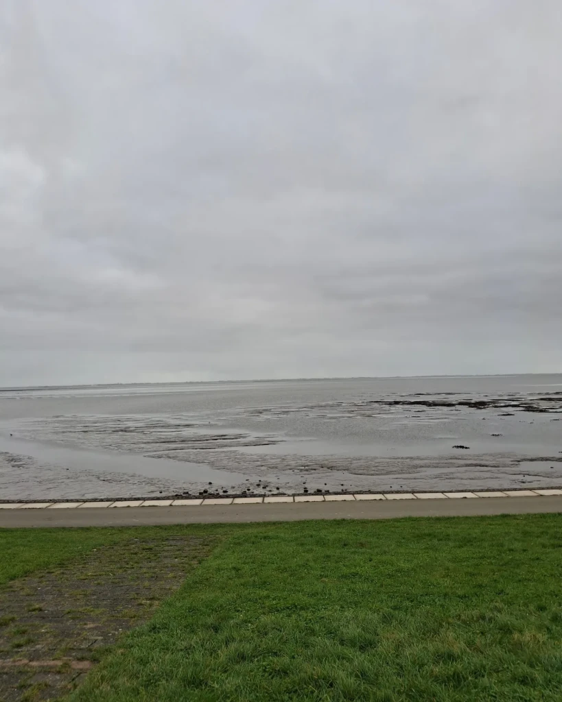 Ameland 3: Strandhotel Buren aan Zee - Nes, veerdam · WaddenWandelen etappe 15