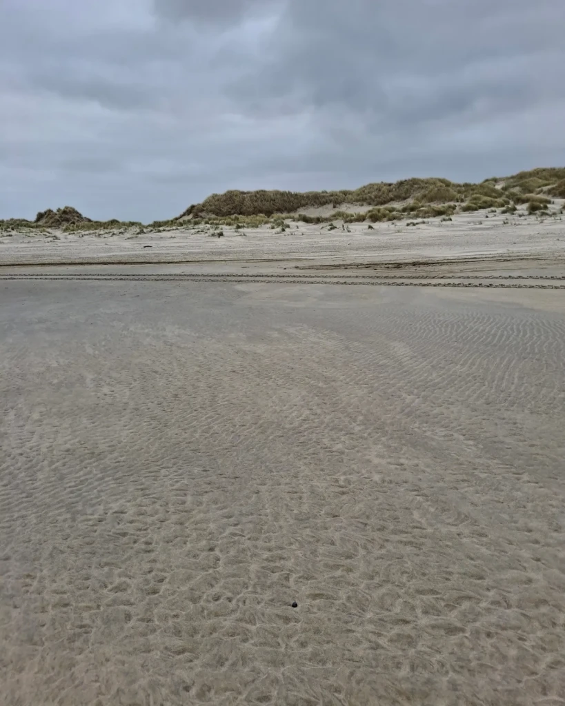 Ameland 3: Strandhotel Buren aan Zee - Nes, veerdam · WaddenWandelen etappe 15