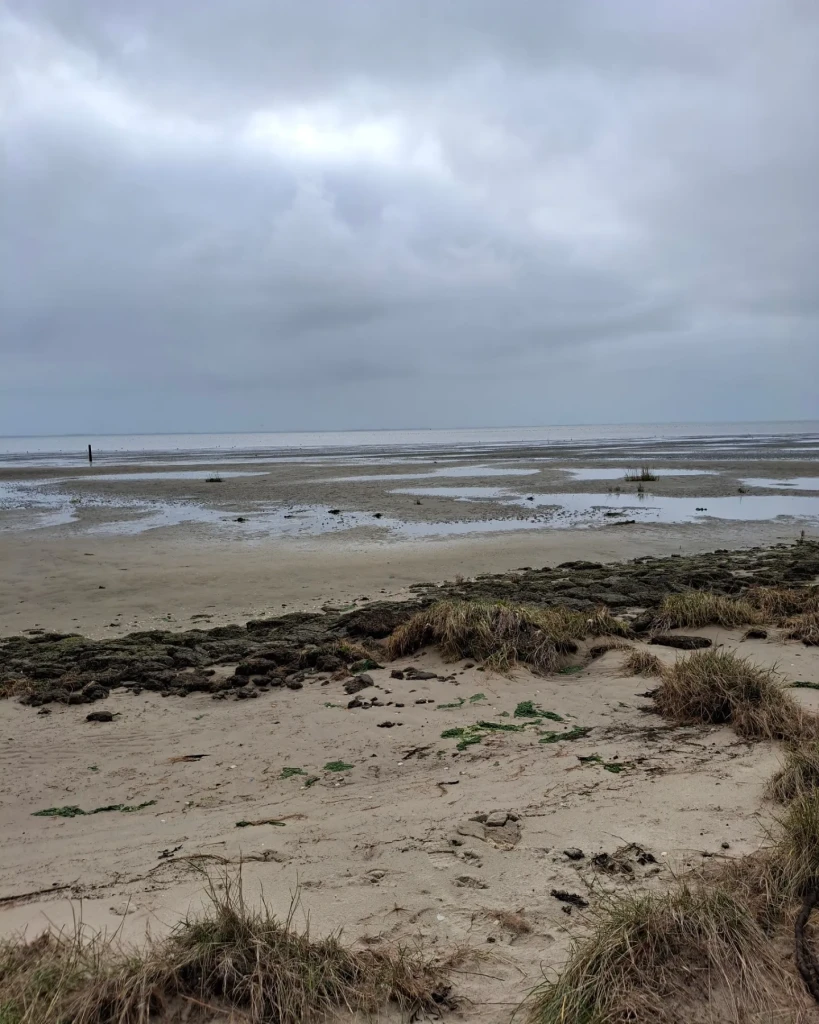 Ameland 3: Strandhotel Buren aan Zee - Nes, veerdam · WaddenWandelen etappe 15