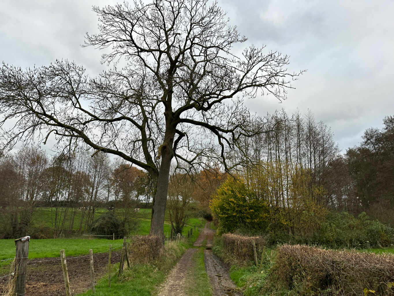 Bergdorpje Vijlen 1 V8 Vaals