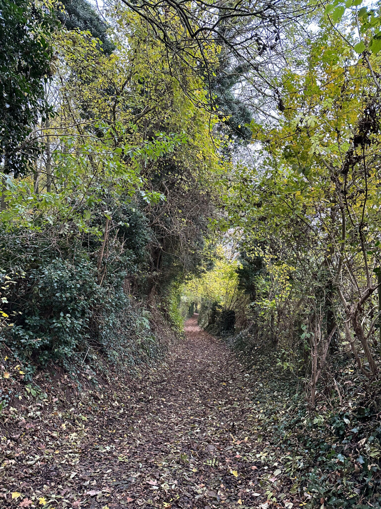 Bergdorpje Vijlen 1 V8 Vaals