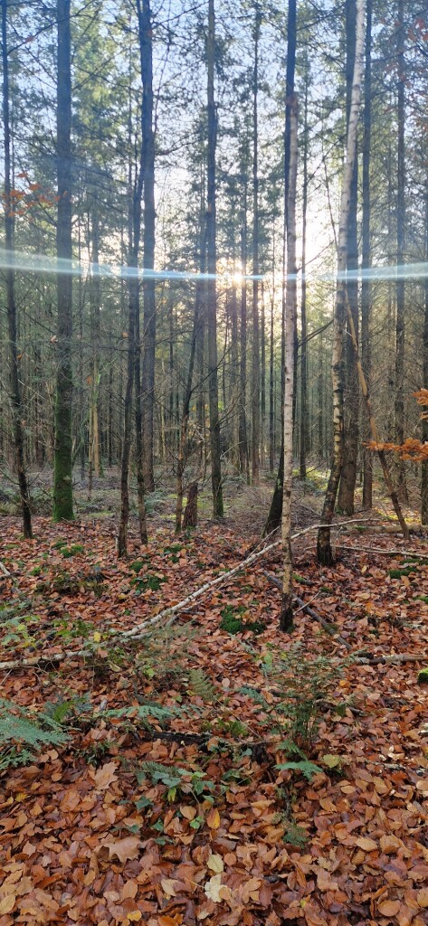 Wageningse Engpad Wageningen