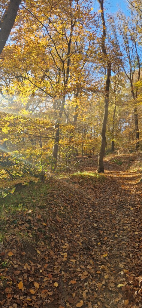 Wageningse Engpad Wageningen