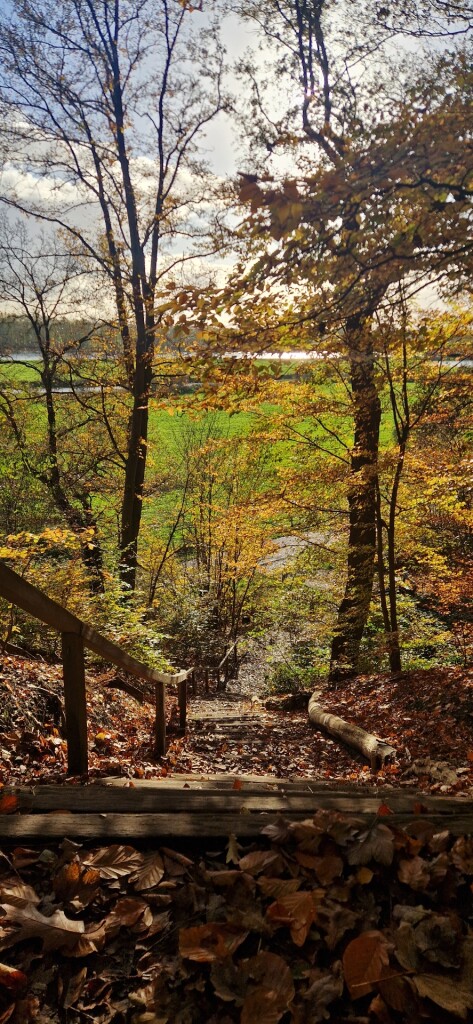 Wageningse Engpad Wageningen