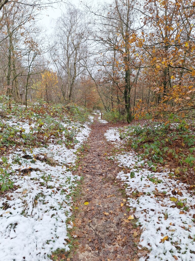 Veerpont Sambeek naar vierlingsbeek