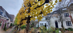 Maarssen - Utrecht · Utrechtpad etappe 11