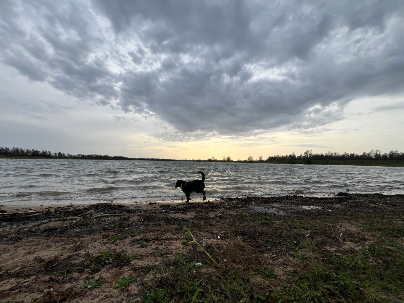 Tussen oude Rijn en oude Waal