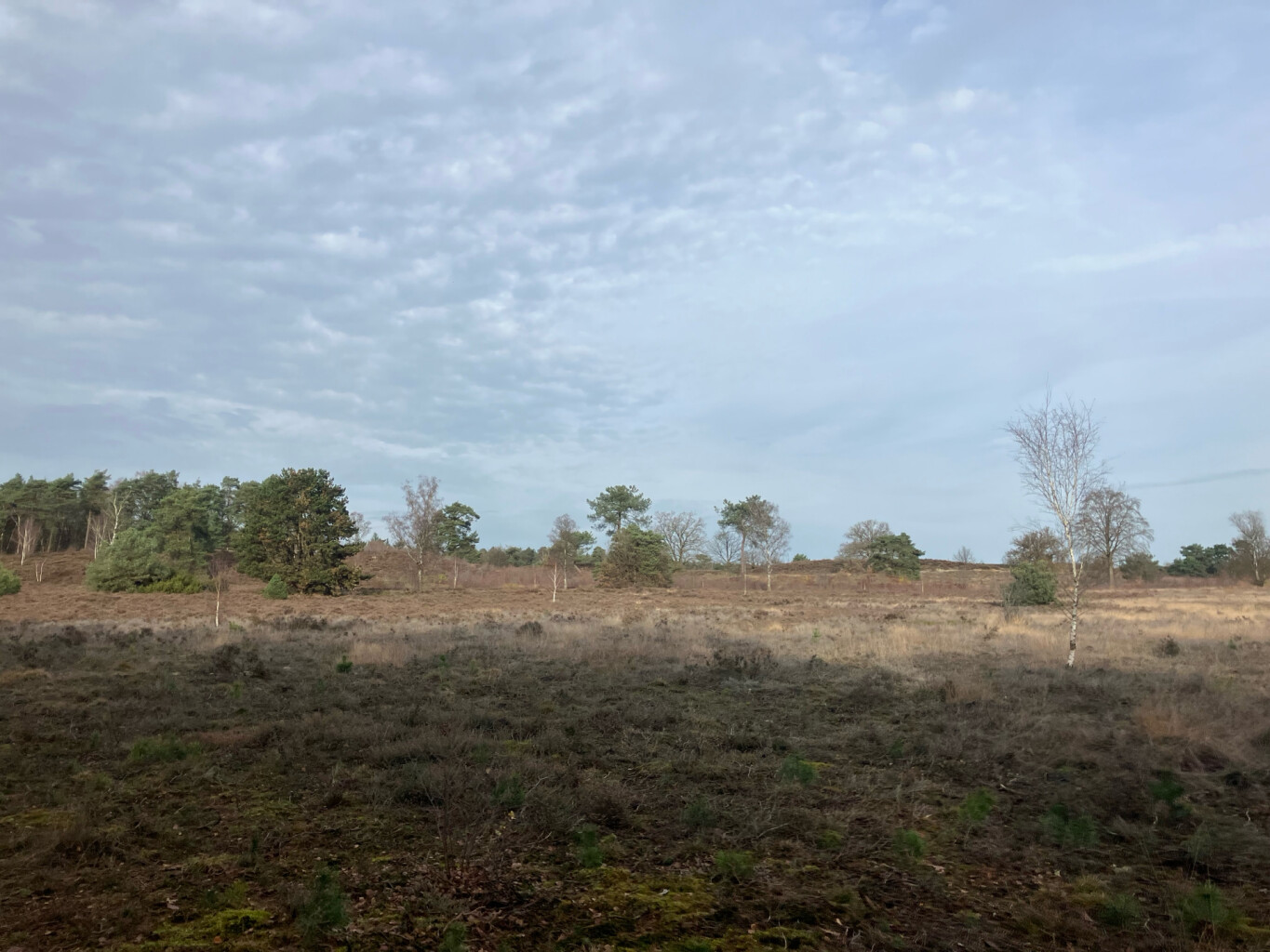 Klompenpad Vosbergenpad