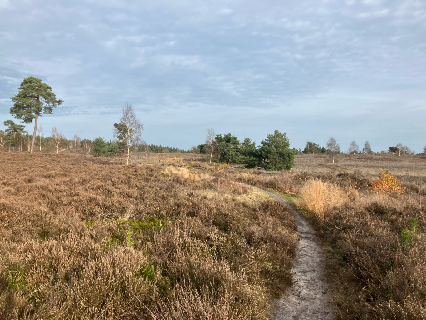 Klompenpad Vosbergenpad