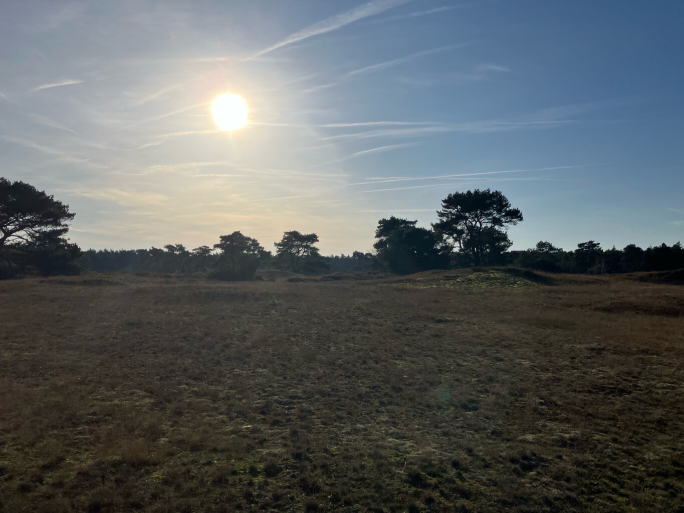 Thornspiccerpad Elburg