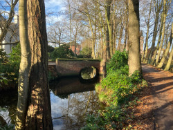 Thornspiccerpad Elburg